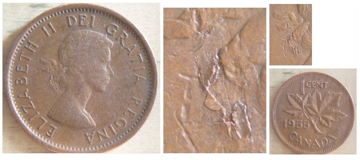 1 Cent - 1955 - Défaut flan - avers.JPG