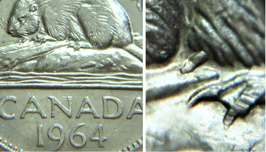 5 Cents 1964-Éclat coin sous abdomen du castor.JPG