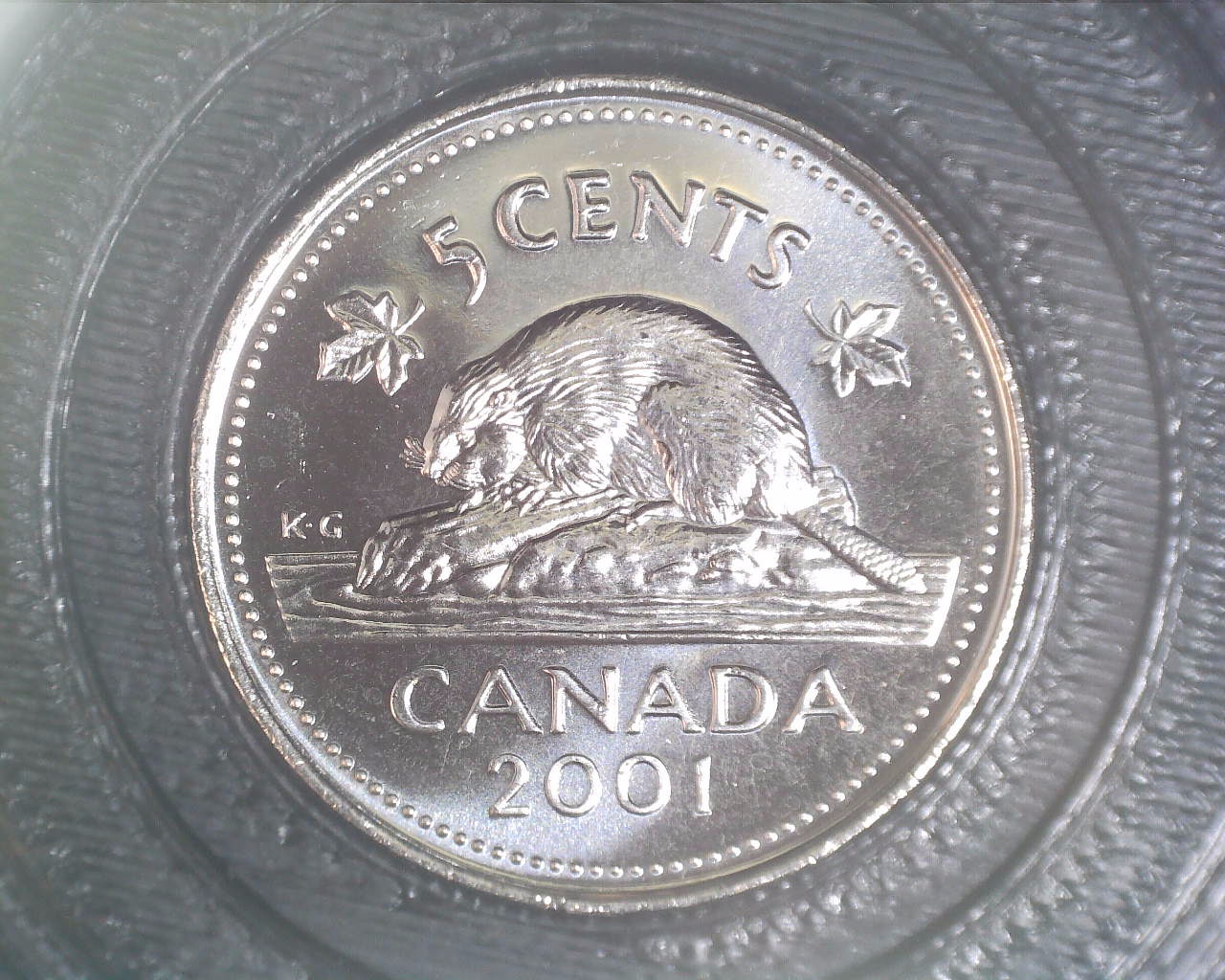 211010131126113.jpg