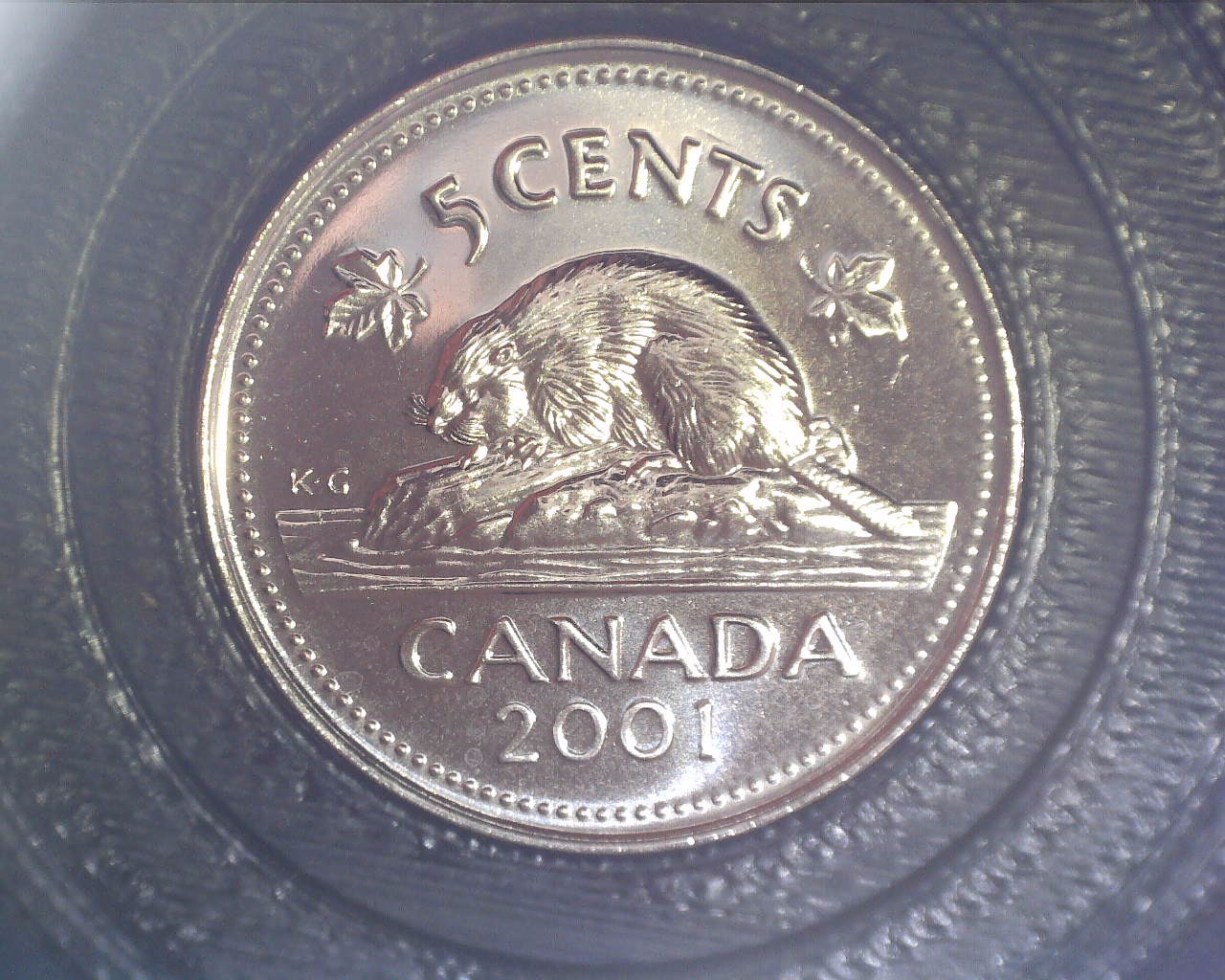 211010132634402.jpg