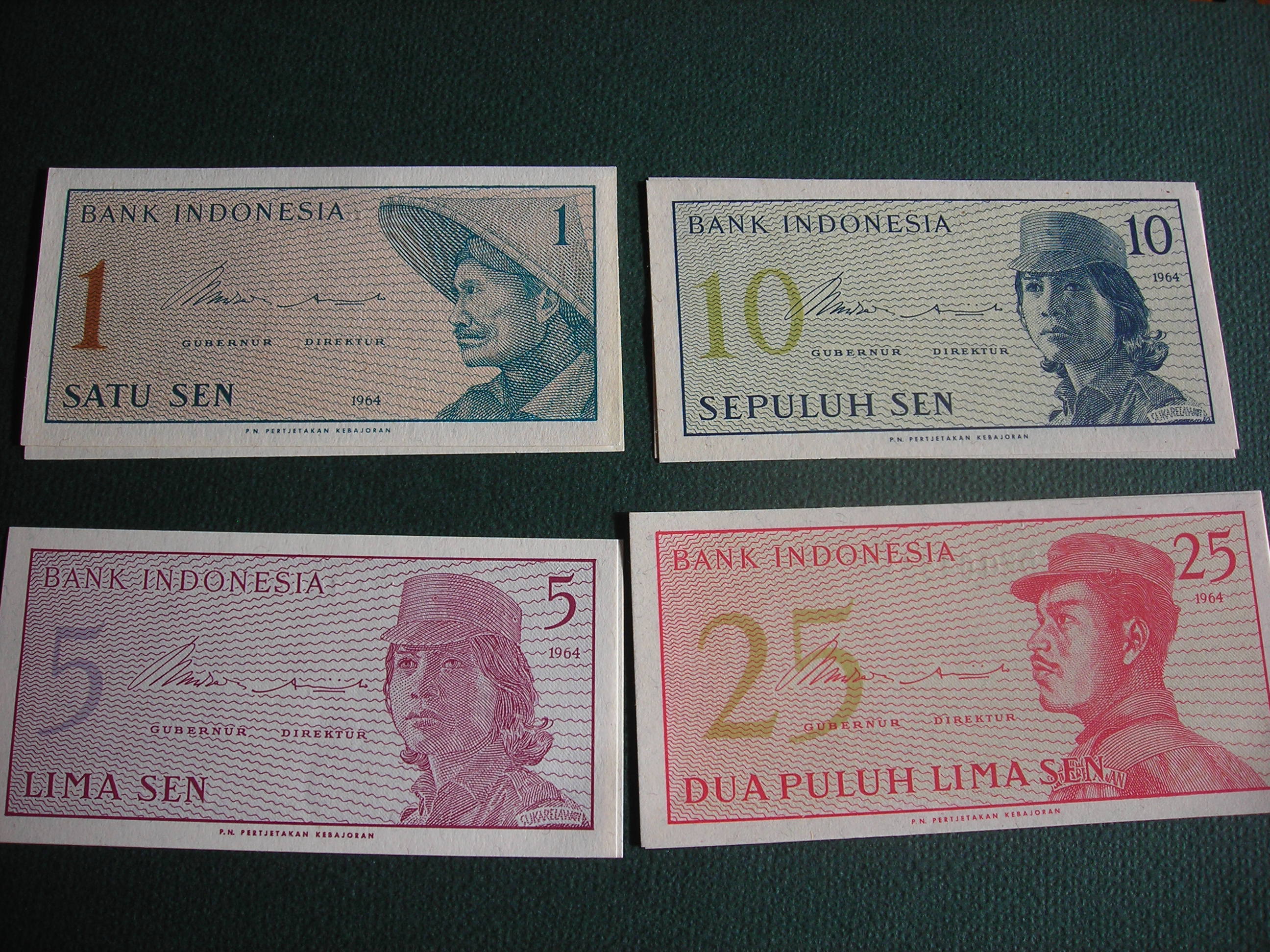DSCN8351.JPG
