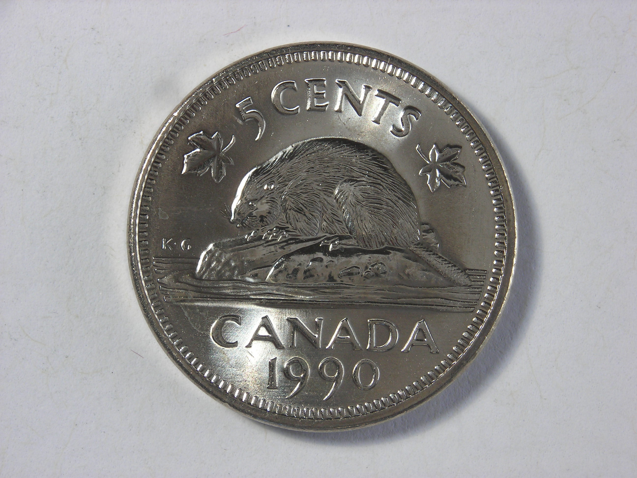 DSCN8360.JPG