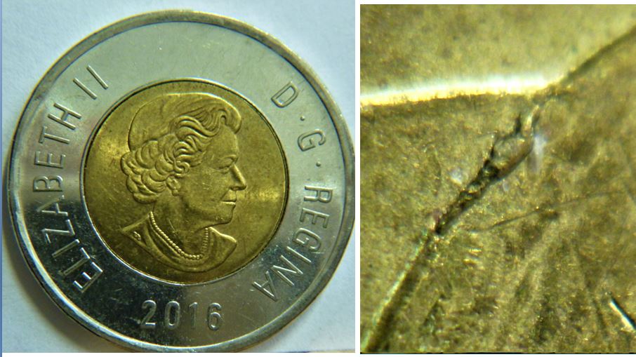 2 Dollar 2006-Éclat coin sur le derière de l'ours-1.JPG