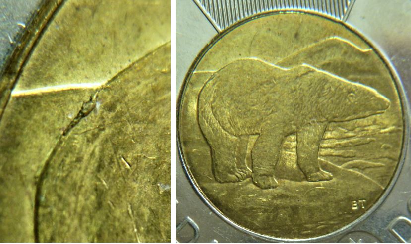 2 Dollar 2006-Éclat coin sur le derière de l'ours-2.JPG