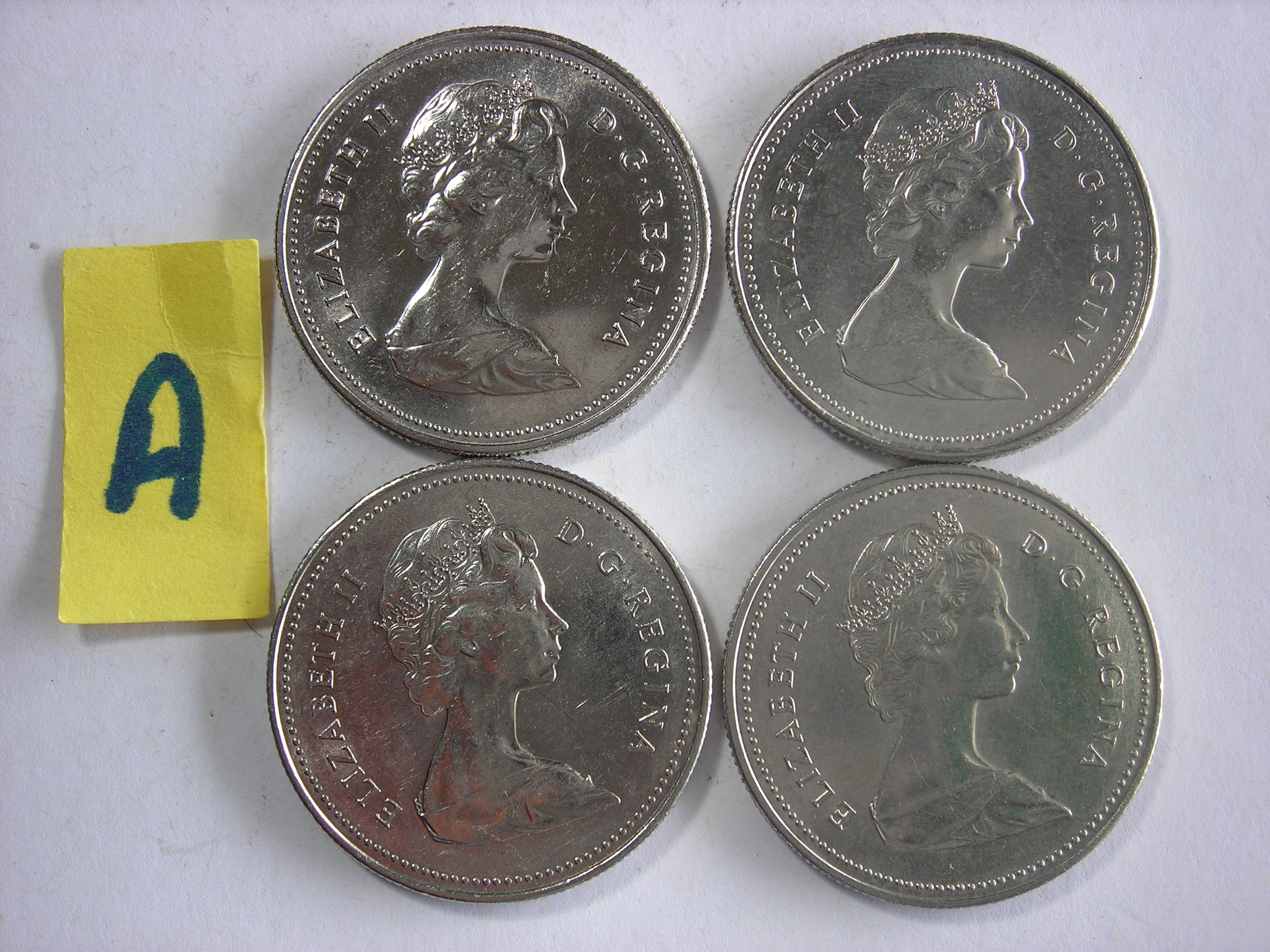 DSCN8390.JPG