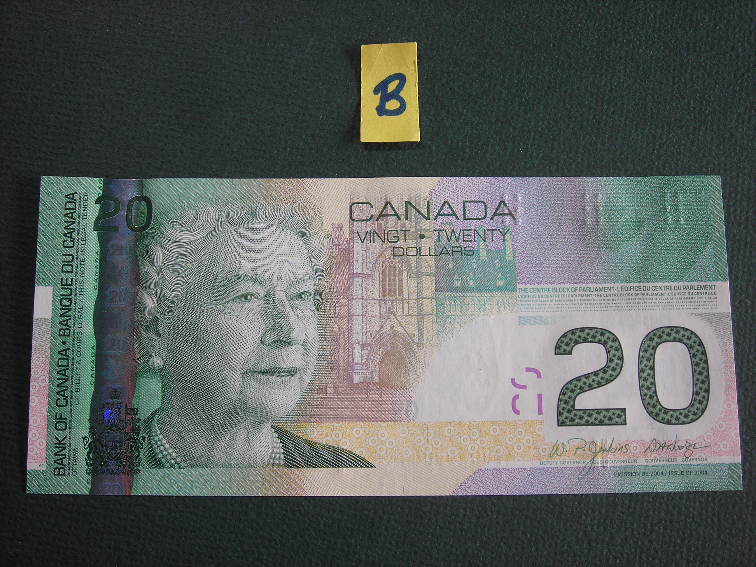 DSCN8418.JPG