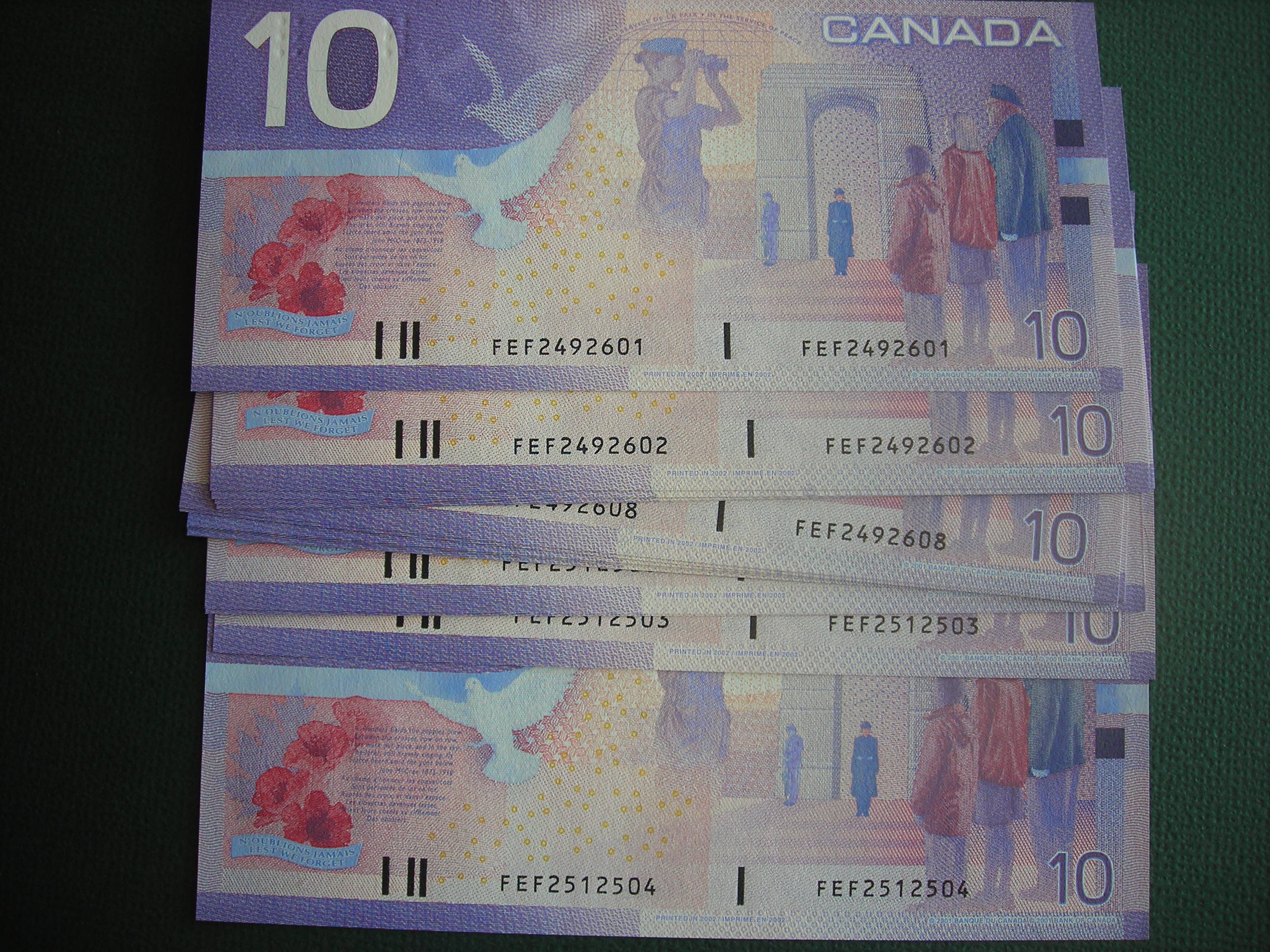 DSCN8437.JPG