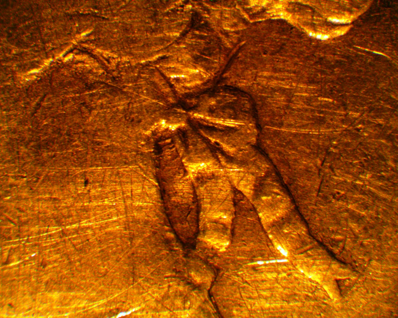 1872H.bars3.jpg