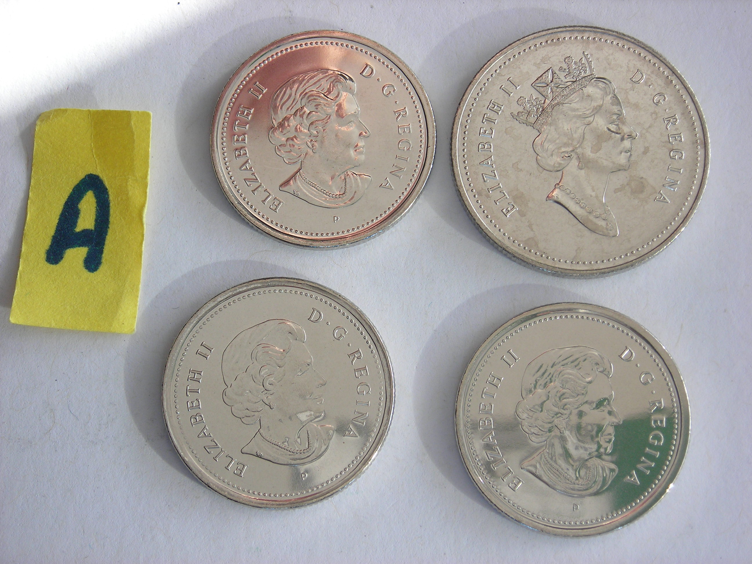 DSCN8527.JPG
