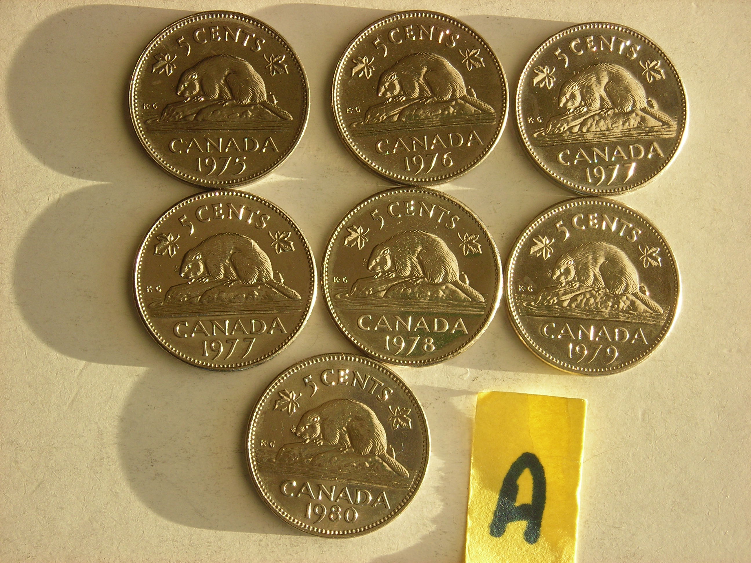 DSCN8551.JPG