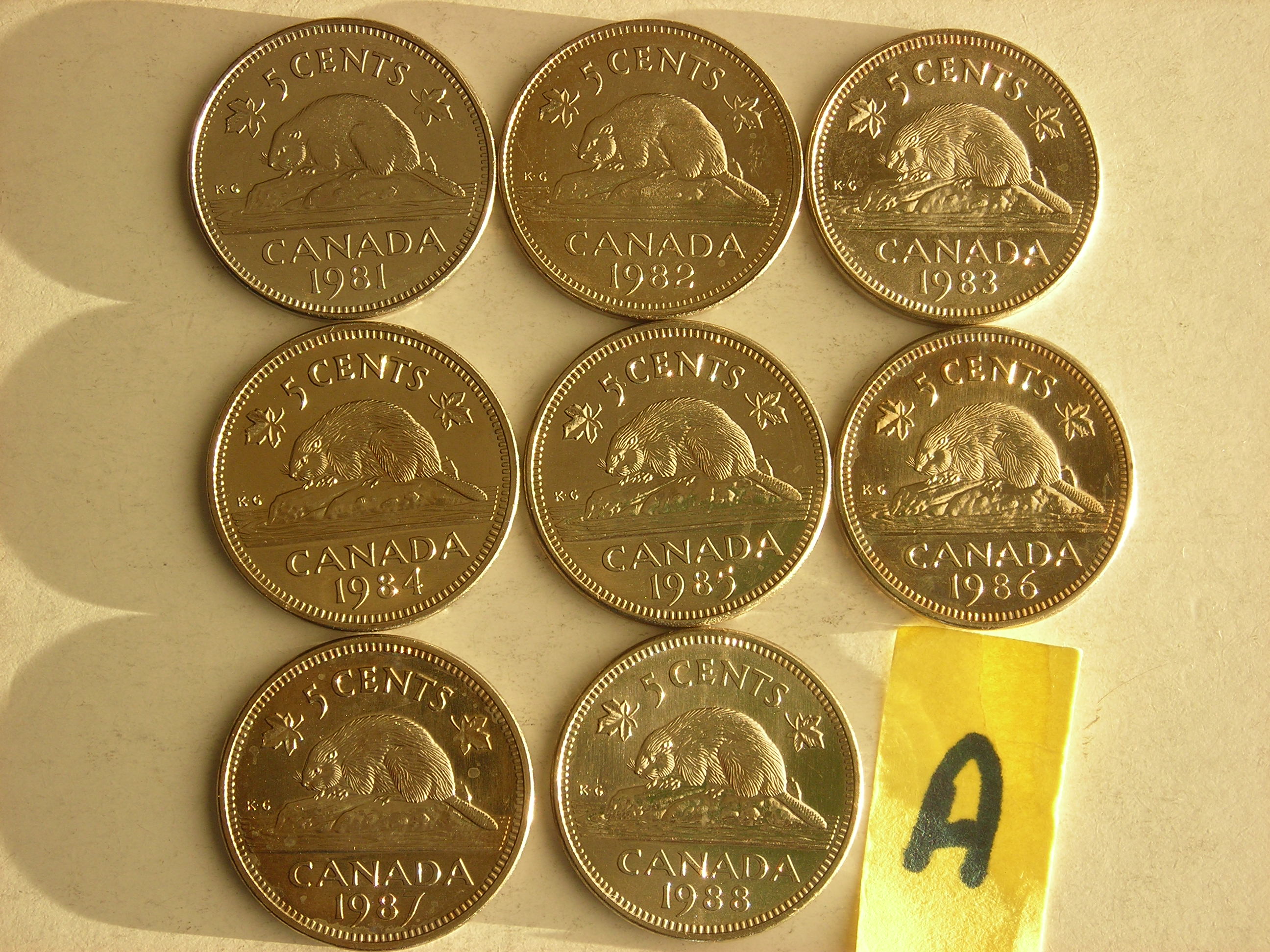 DSCN8554.JPG