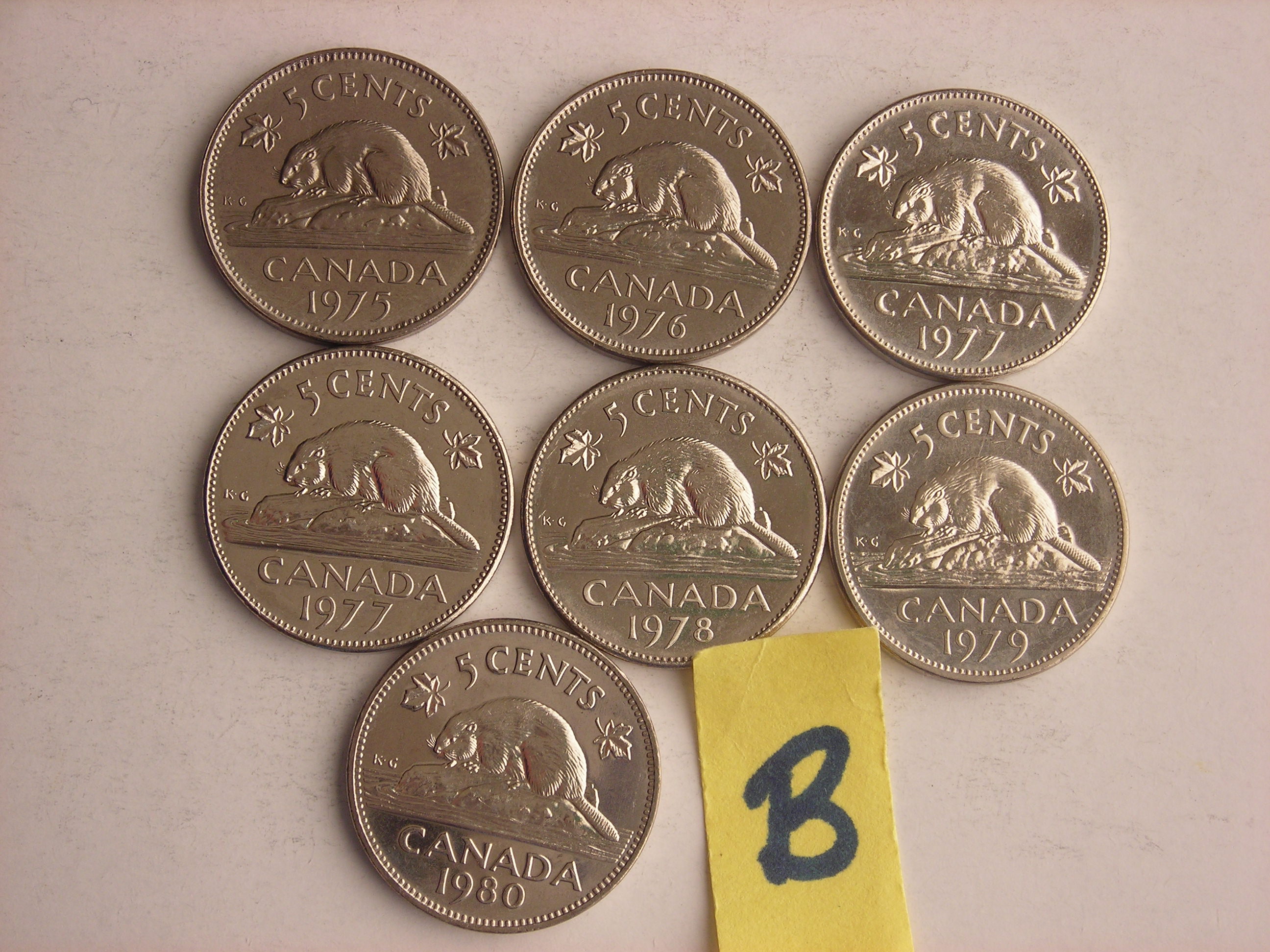 DSCN8559.JPG