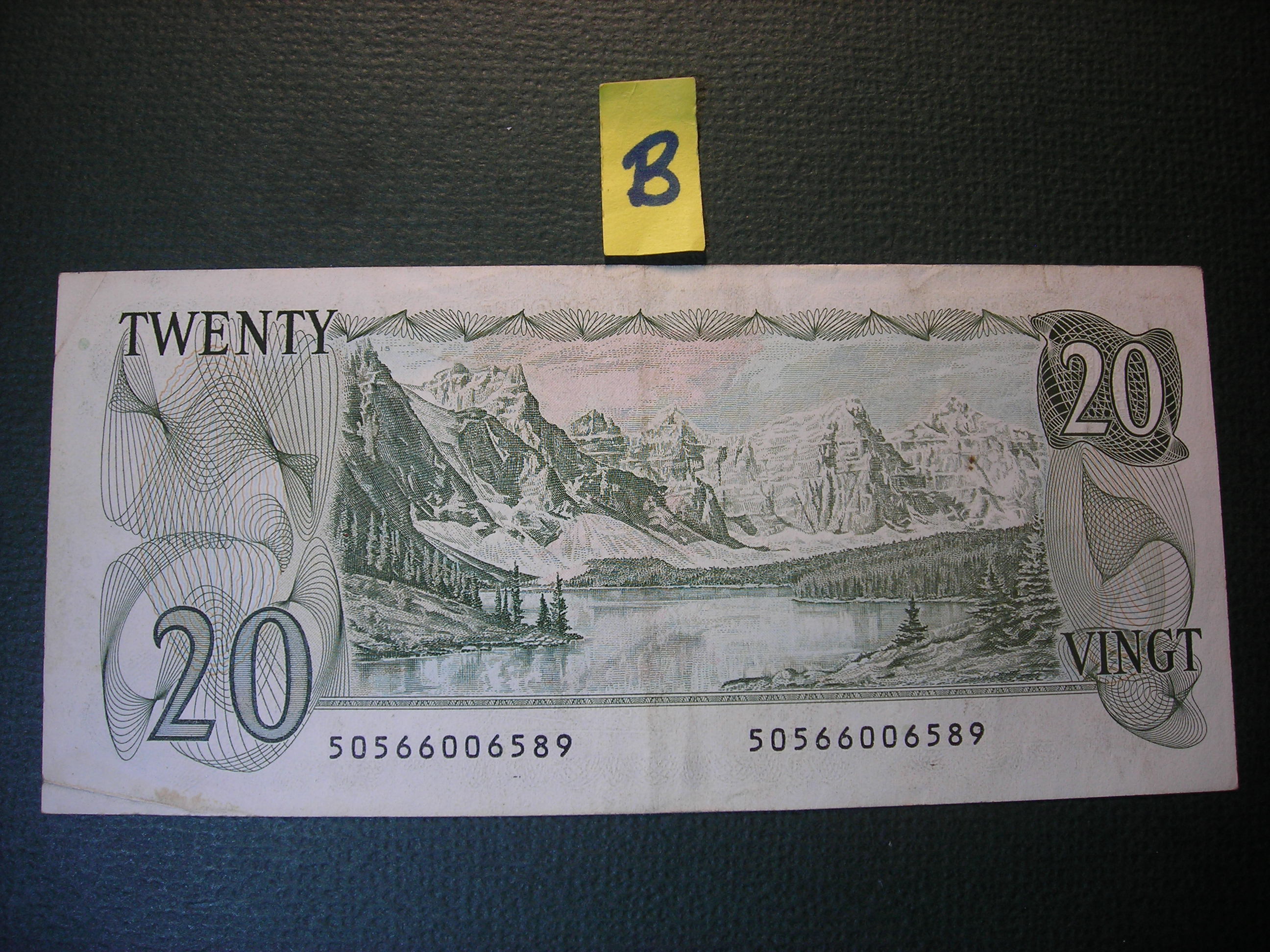 DSCN8590.JPG