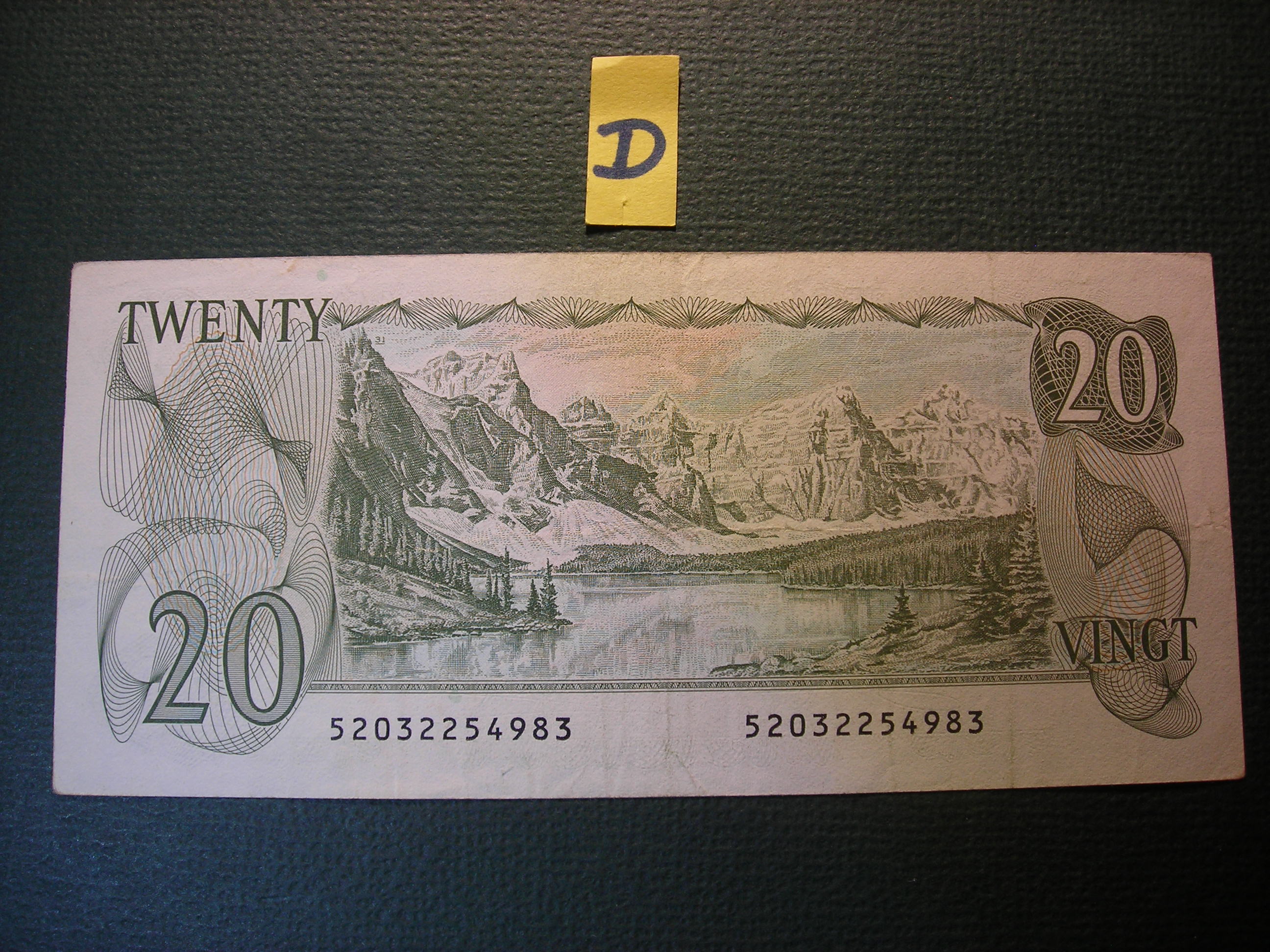 DSCN8595.JPG
