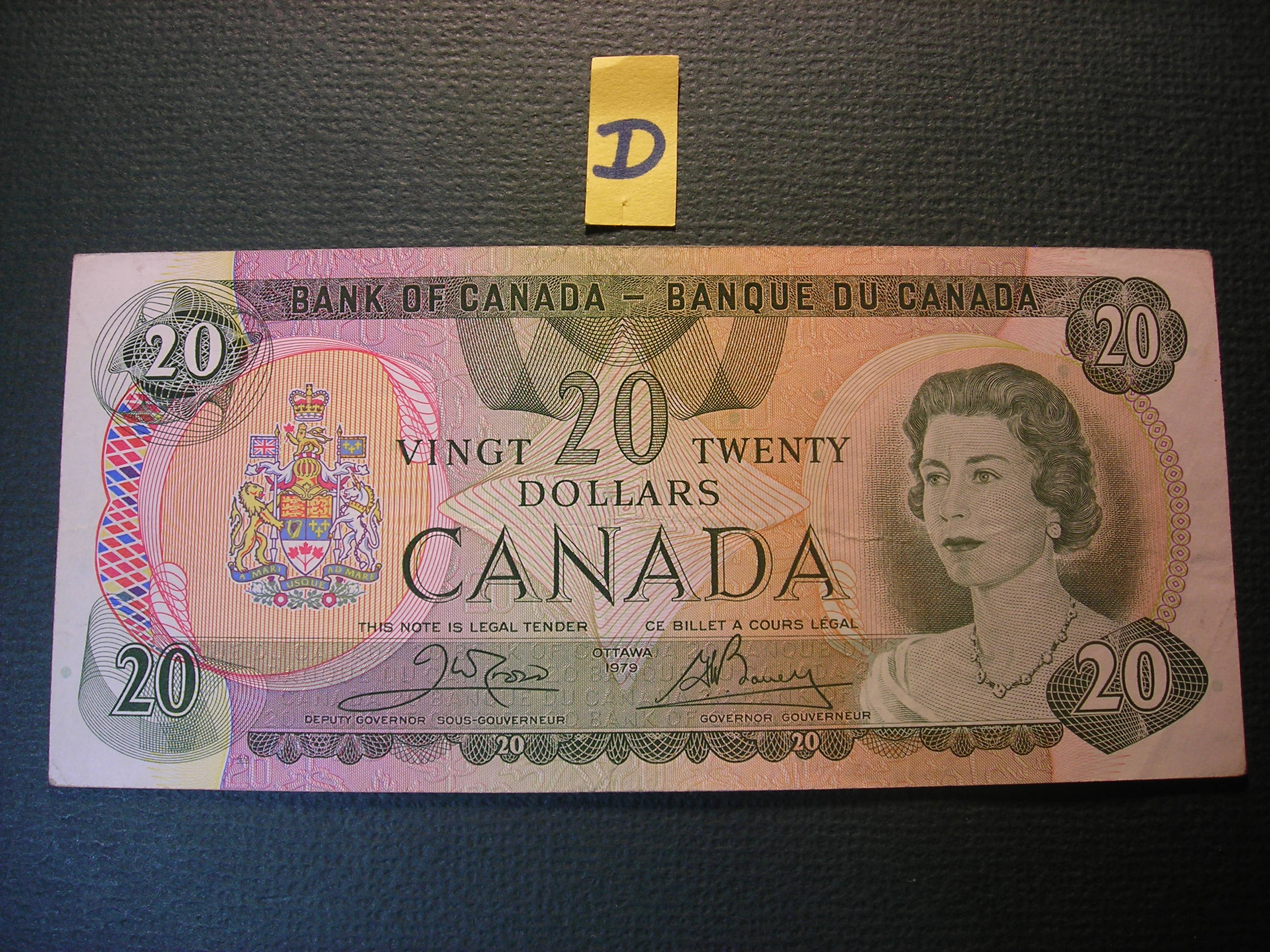DSCN8596.JPG