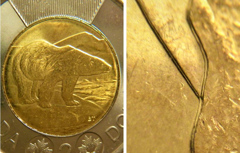 2 Dollar 2021- Double dos de l'ours et la montagne aussi-Coin décale-2.JPG