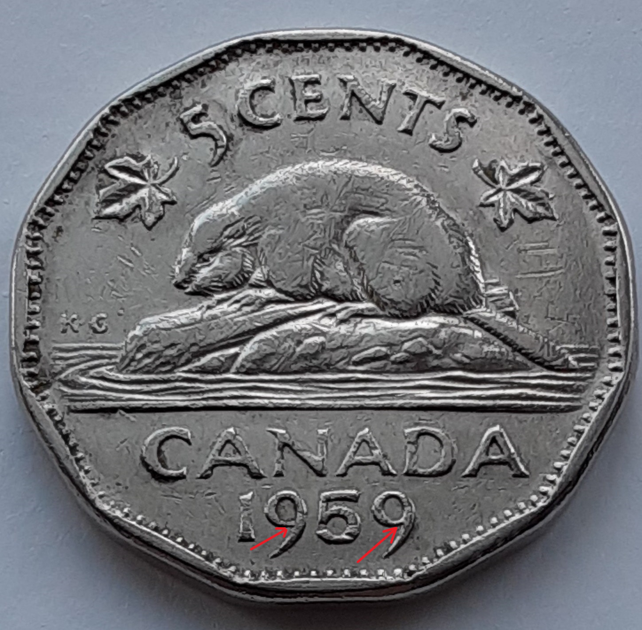 19599.jpg