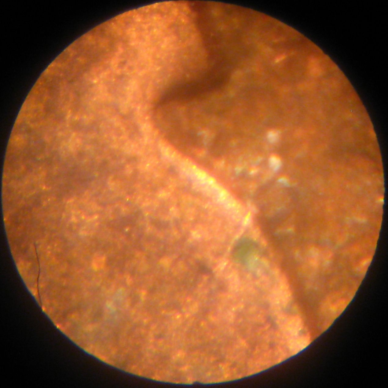 1 cent 1974 micro fendillement.jpg