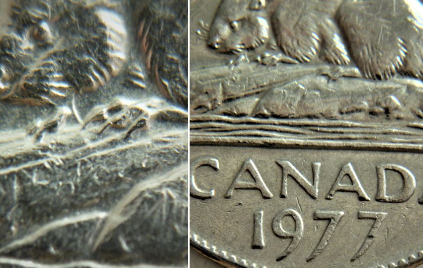 5 Cents 1977h- Coin entrechoqué sous la mâchoire du castor-1.JPG