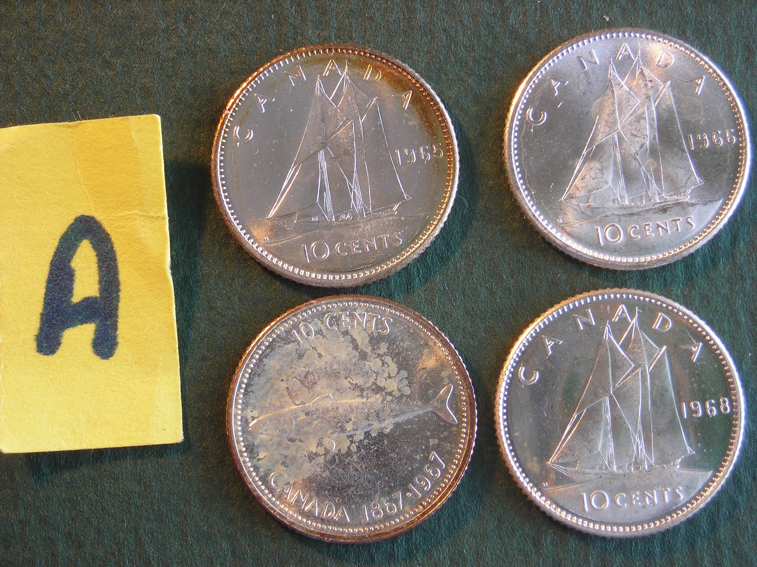 DSCN8665.JPG