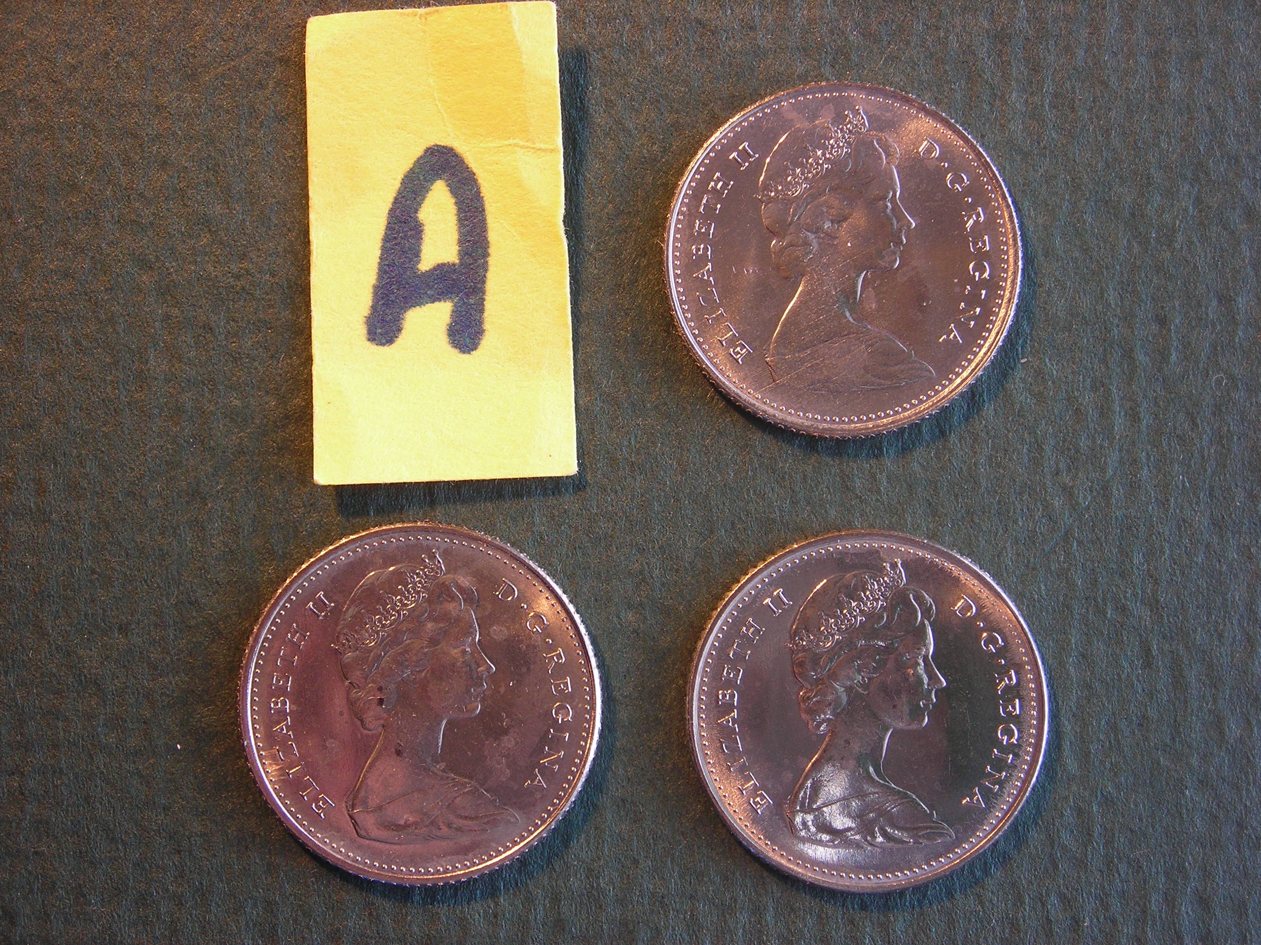 DSCN8677.JPG