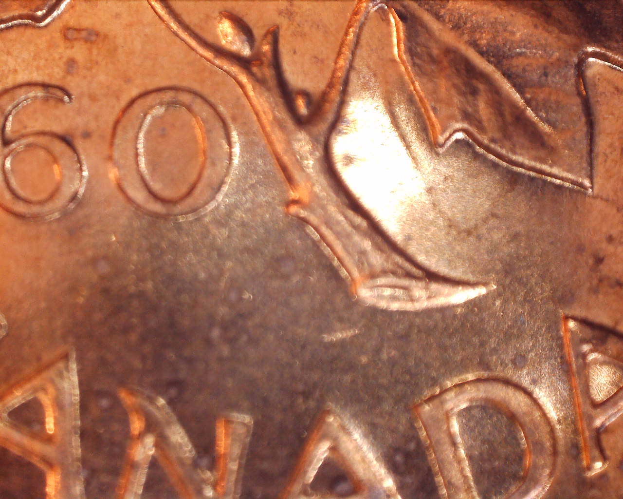 220224181410144.jpg
