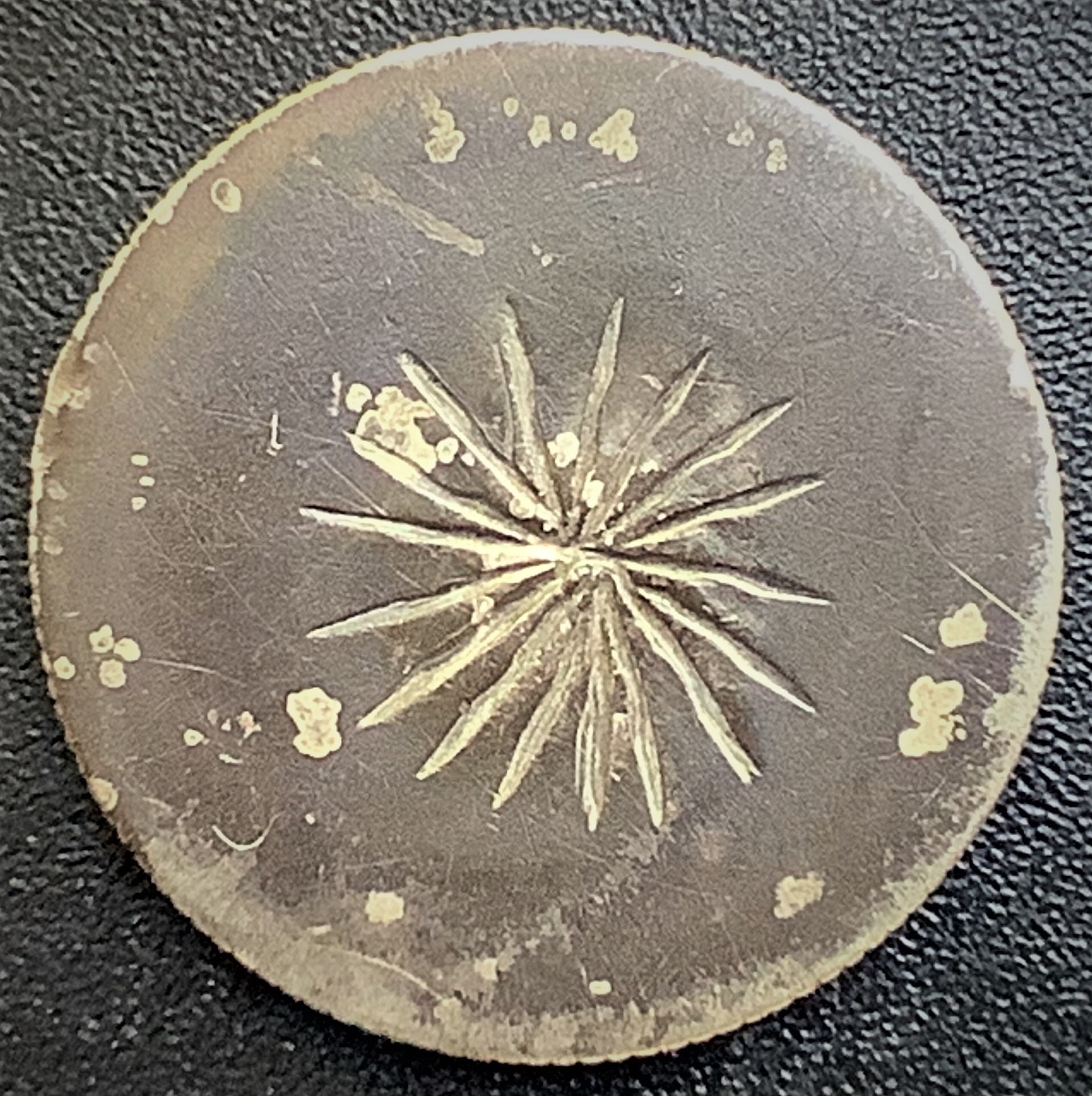 Love token Flocon de neige 1876.jpg