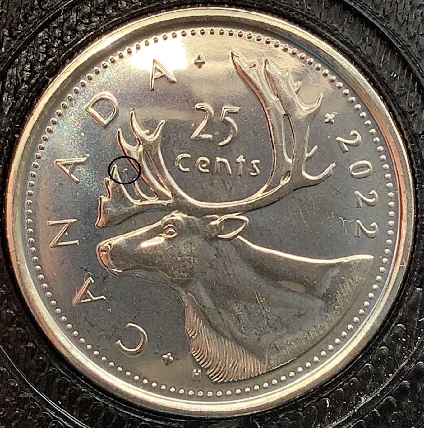 25 cents 2022 bulle 1 avec cercle.jpg