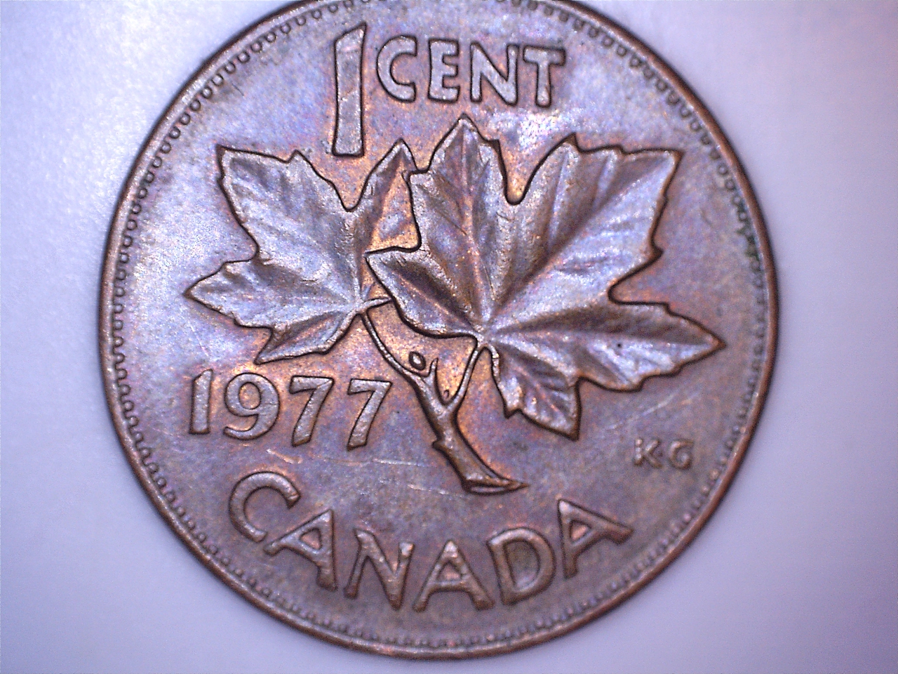 1977 double eye b5.jpg