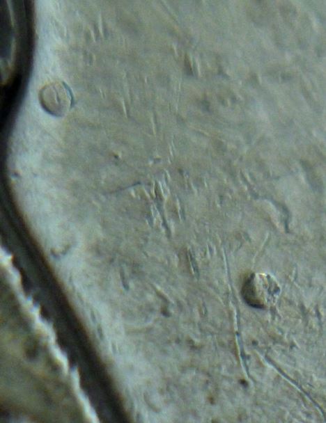 10 Cents 2016-Deux Points devant visage de effigie-3.JPG