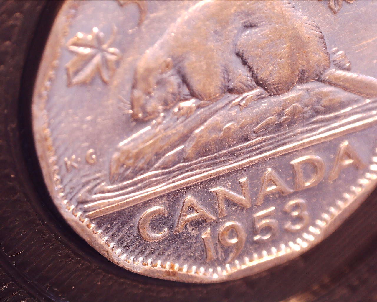 220404164555624.jpg
