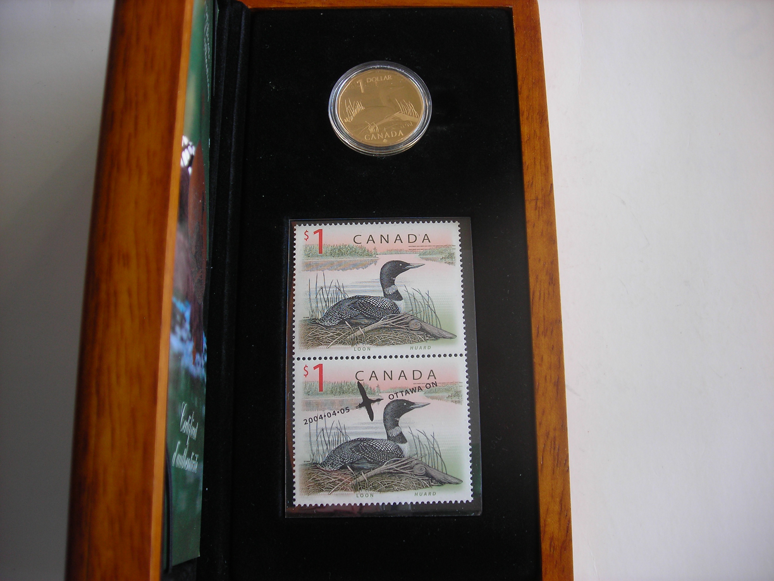 DSCN8867.JPG