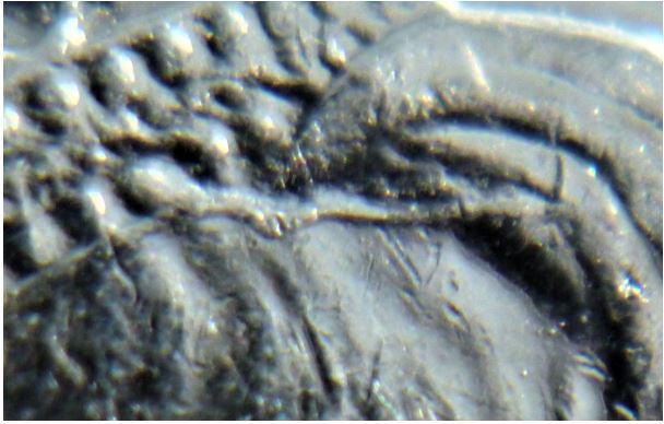 10 Cents 2001-Coin fendillé sur la tête de effigie-2.JPG