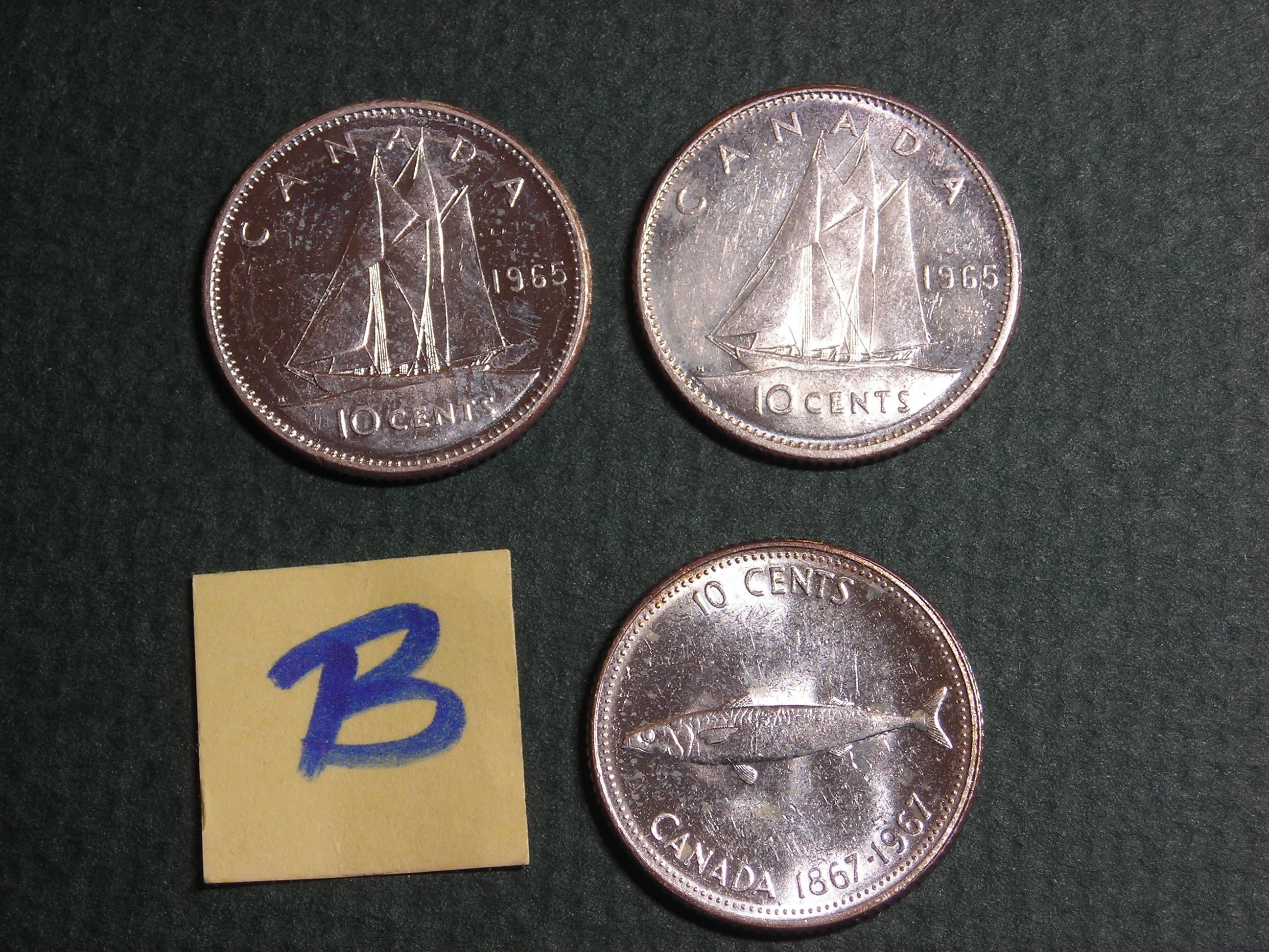 DSCN8938.JPG