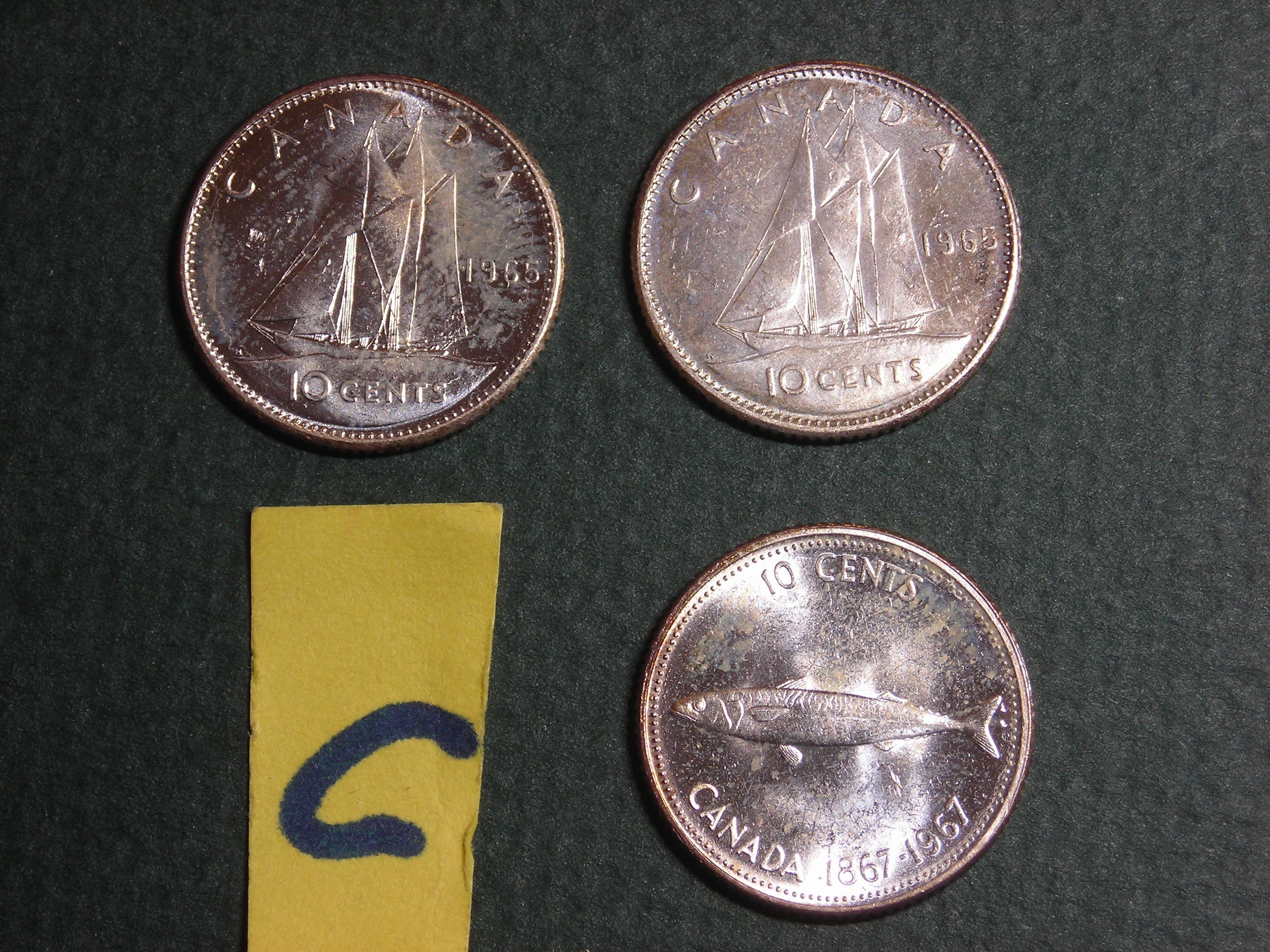 DSCN8942.JPG