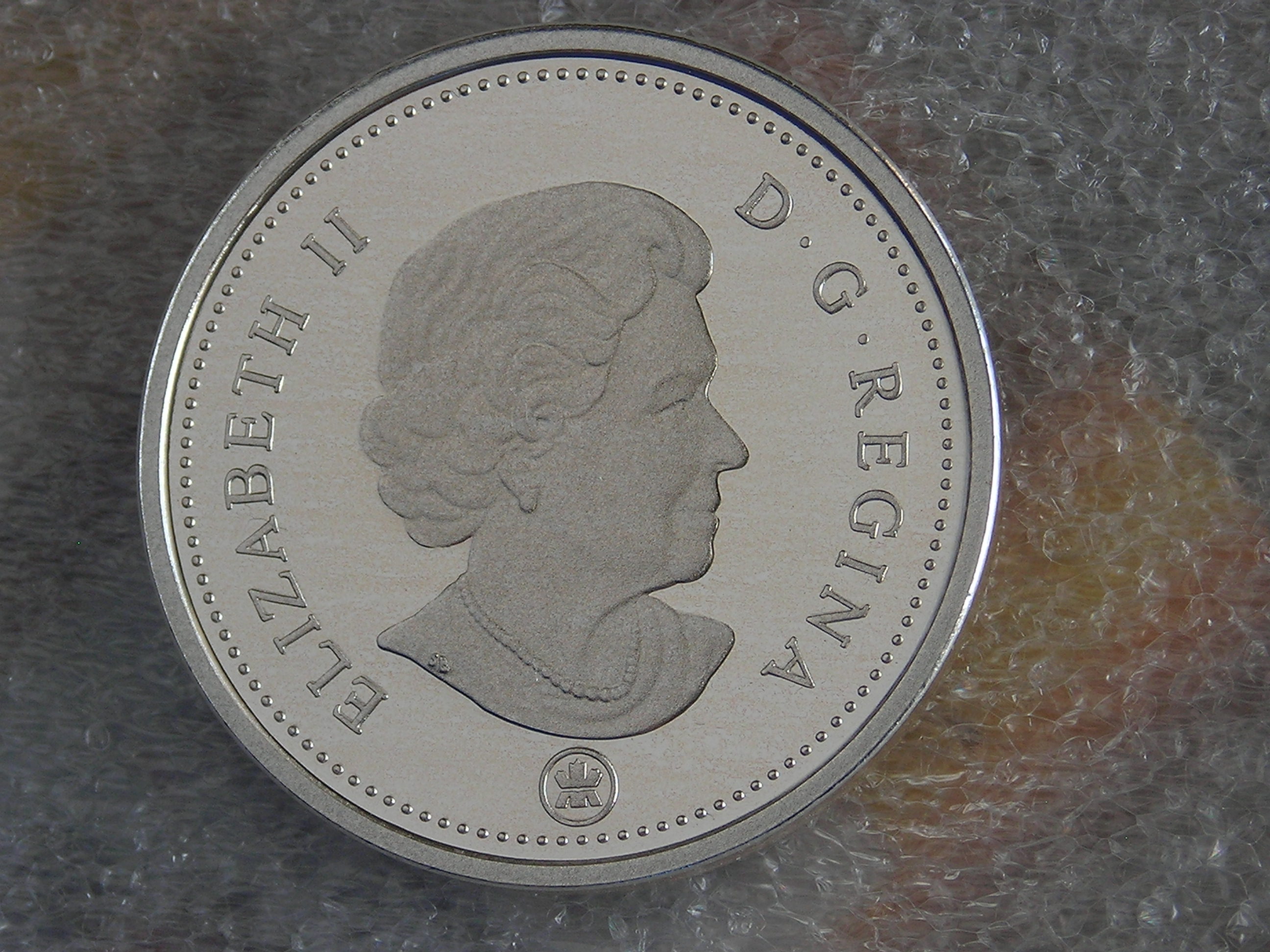 DSCN8972.JPG