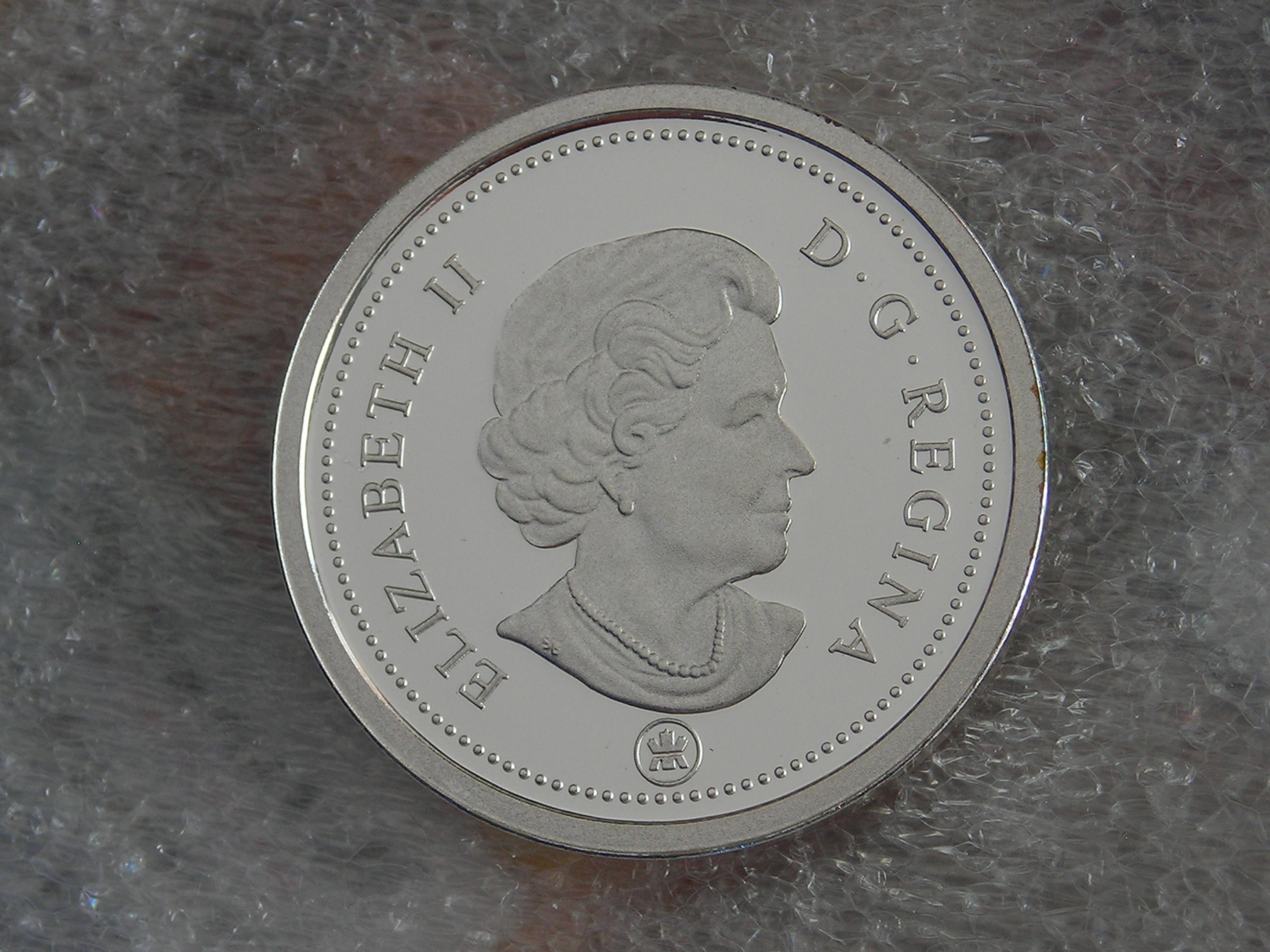DSCN8976.JPG