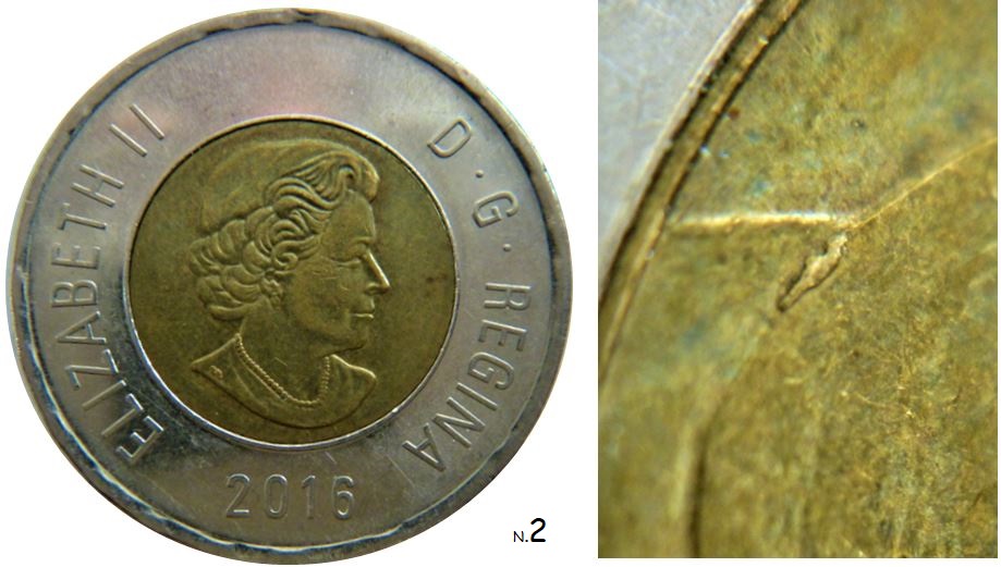 2 Dollar 2016-Éclat du coin au popotin de l'ours-1.JPG