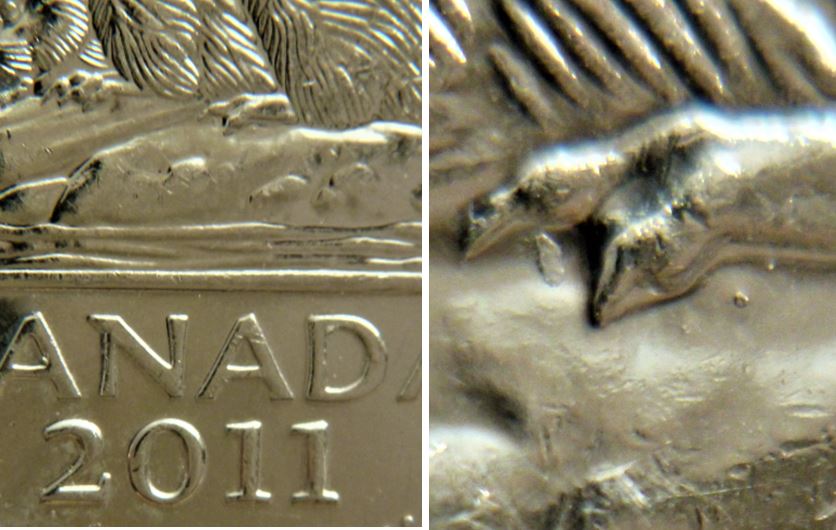 5 Cents 2011-Éclat coin entre les deux griffes patte arrière-1.JPG
