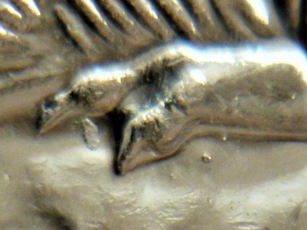 5 Cents 2011-Éclat coin entre les deux griffes patte arrière-3.JPG