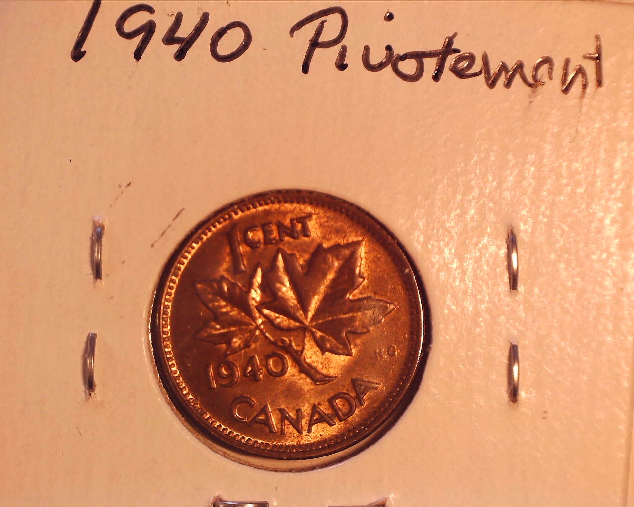 220515124611536.jpg