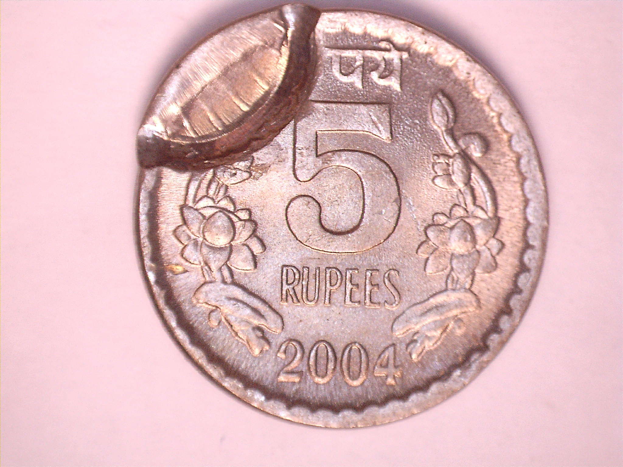 5roupies2004rev_11.jpg