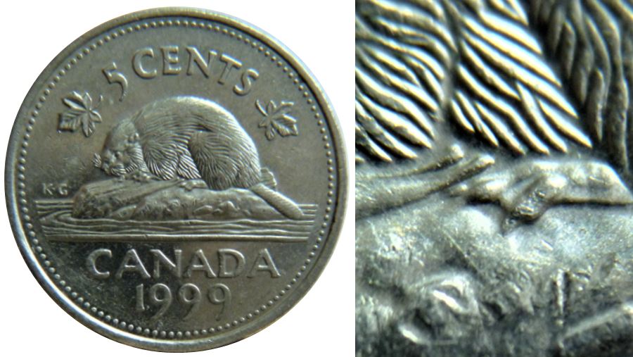 5 Cents 1999-Éclat coin au dessus de la patte arrière-1.JPG