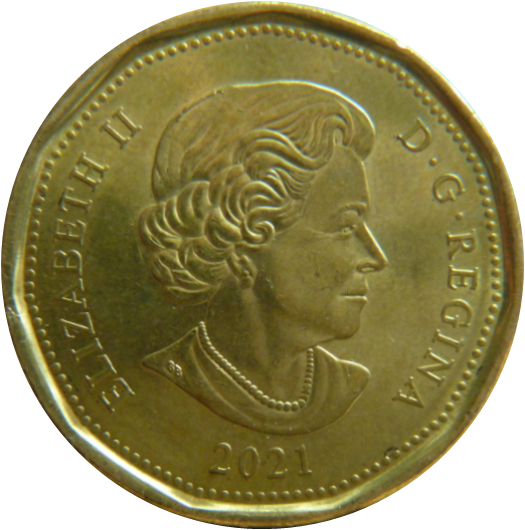 1 Dollar 2021-Éclat coin sur la tête de effigie-1.png