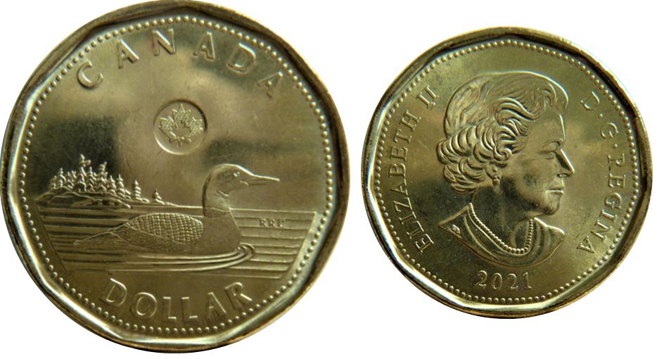 1 Dollar 2021-Éclat coin au sessus D de Dollar-1.JPG