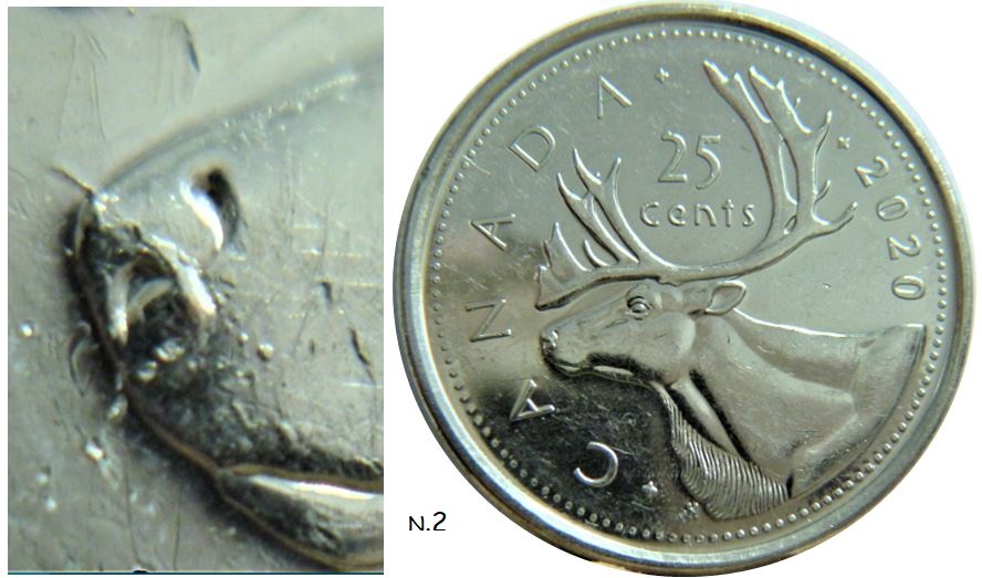 25 Cents 2020-Accumulation sur le nez du caribou-2.JPG