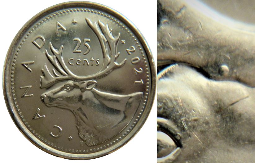 25 Cents 2021-Point à la base des bois près de l'oeil-1.JPG