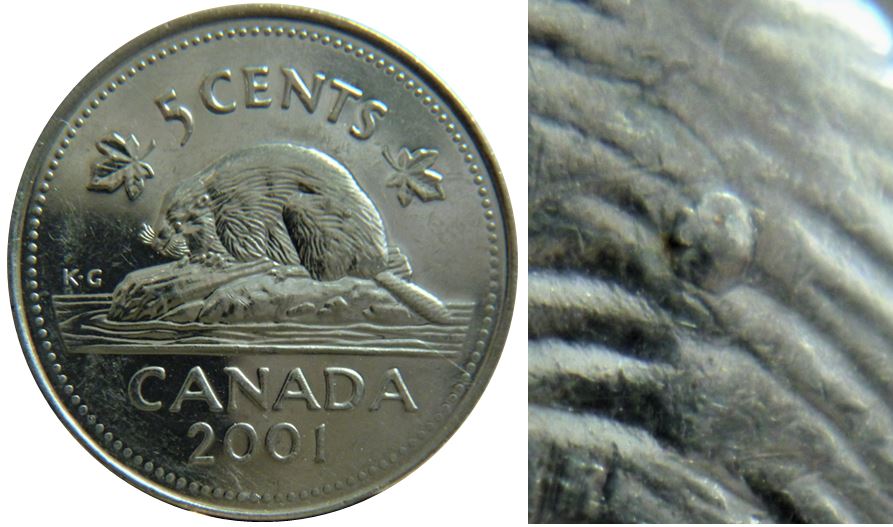 5 Cents 2001-Point sur la fesse du castor-1.JPG