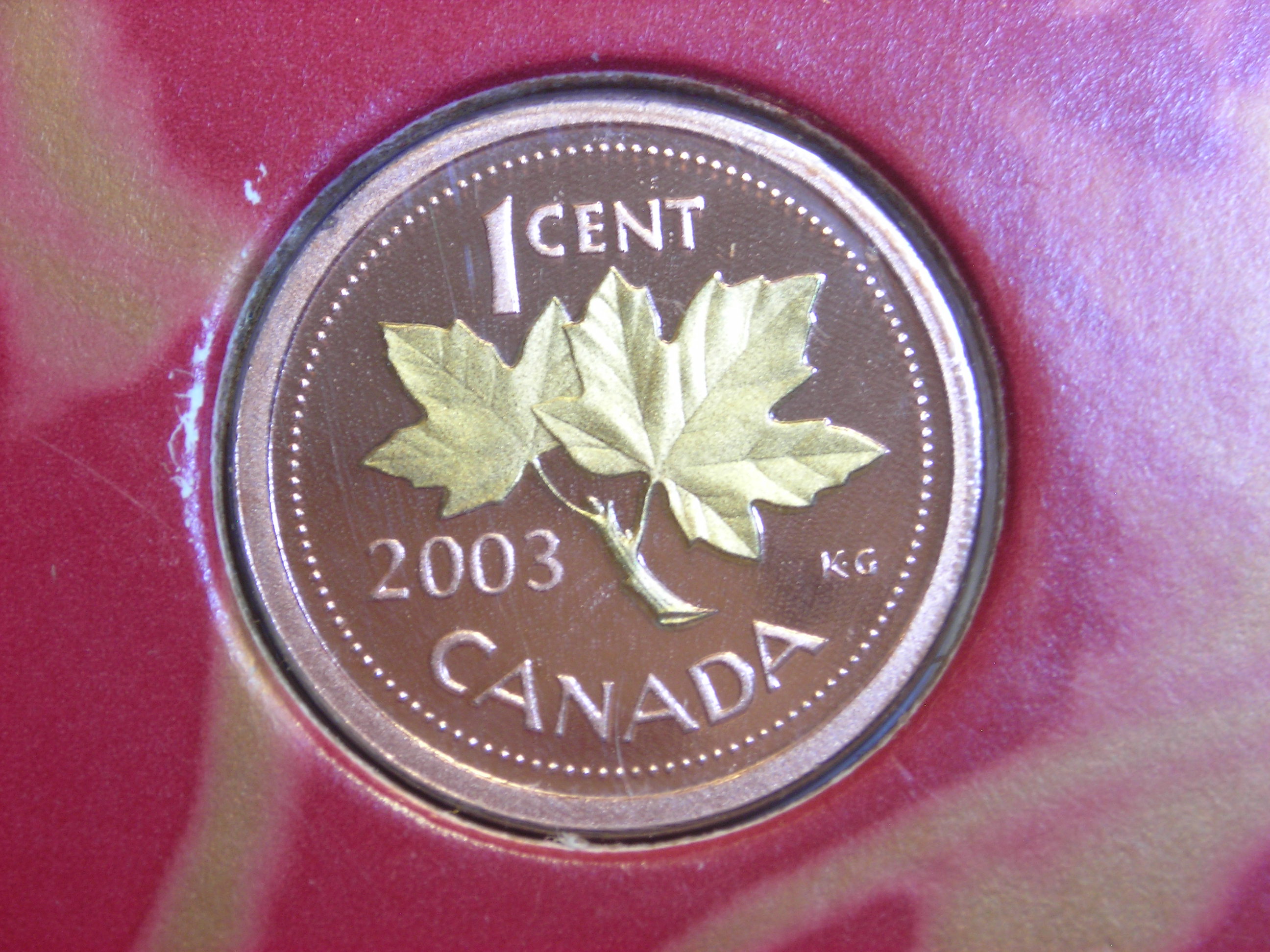 DSCN9319.JPG