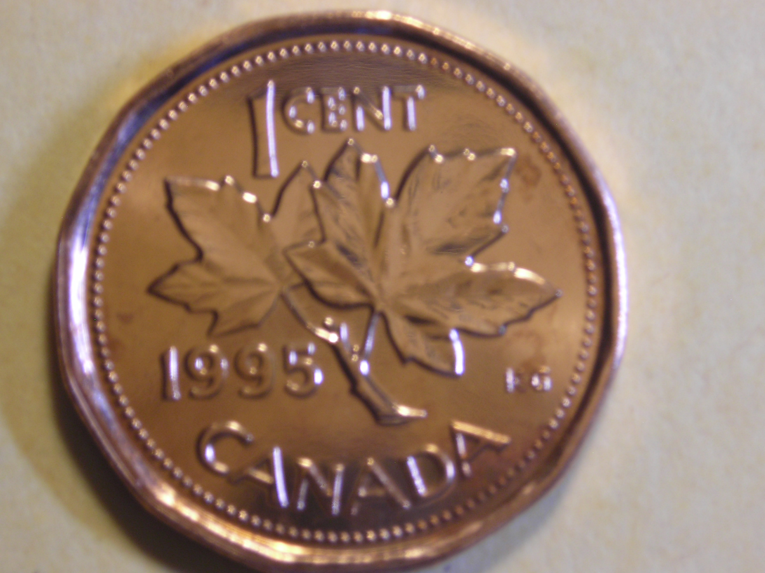 DSCN9324.JPG